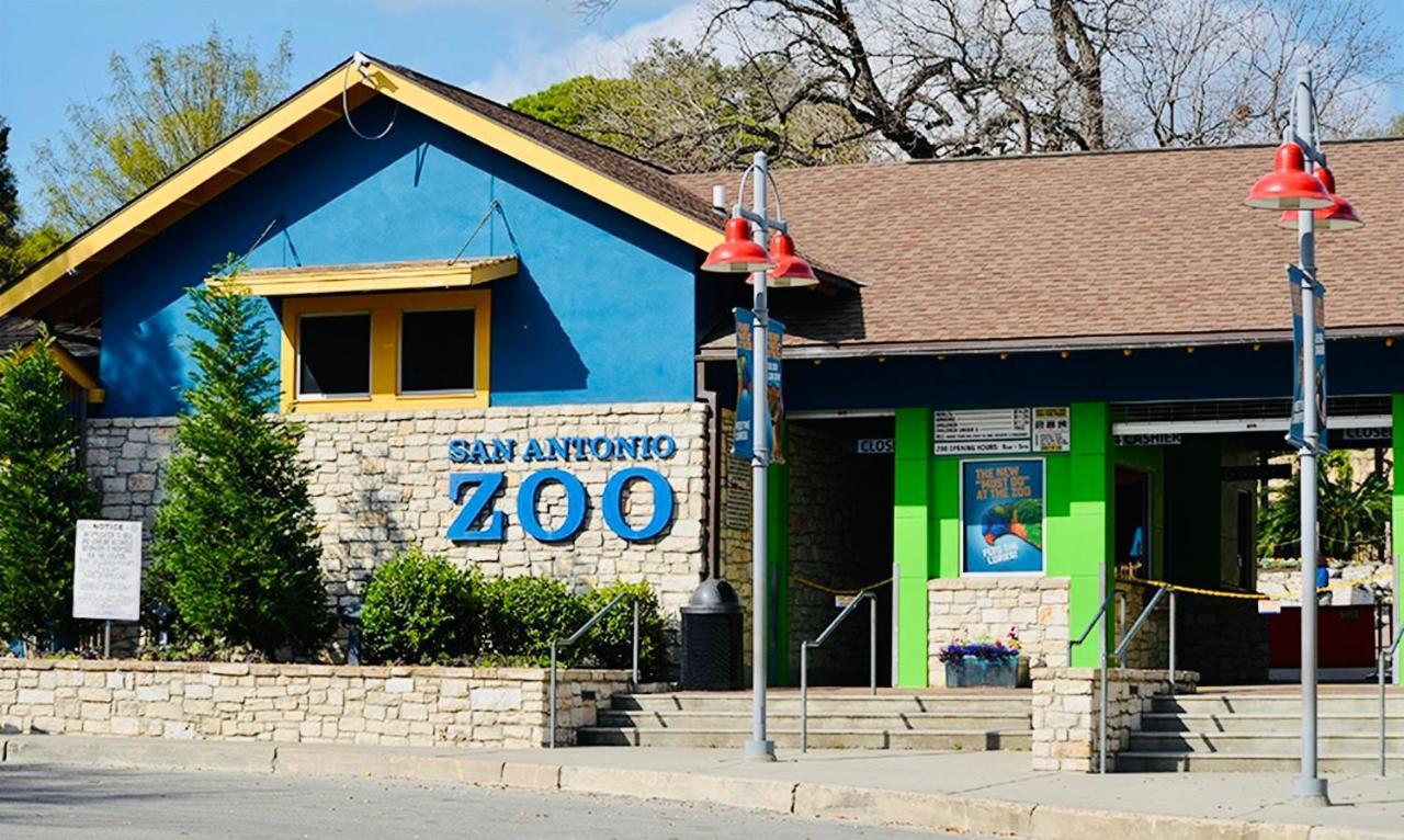 Pershing Place: Historic Home With Heated Spa/Pool By Zoo, Pearl, Golf, Witte San Antonio Zewnętrze zdjęcie